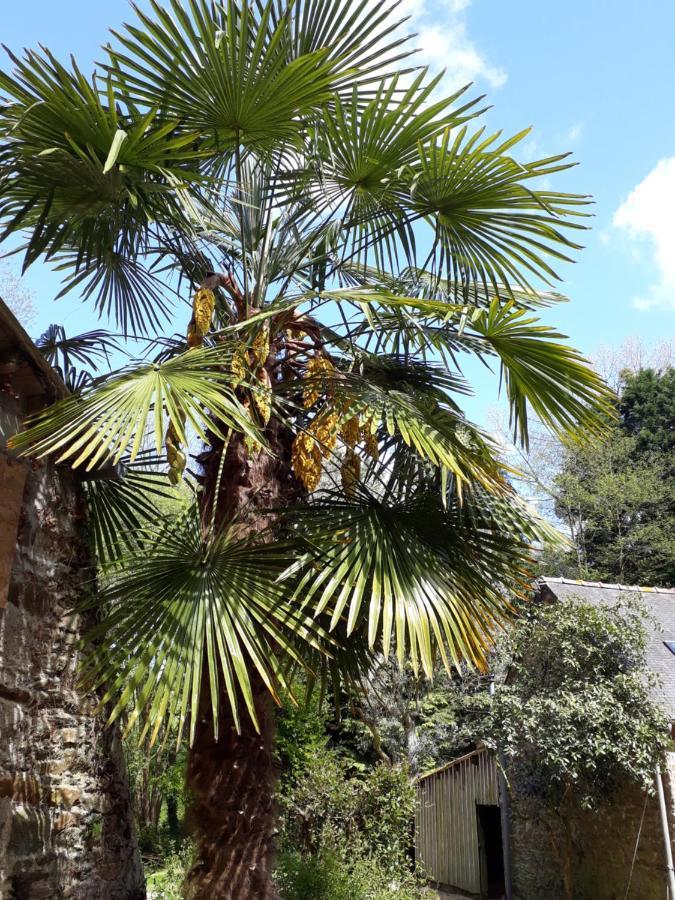 Bed and Breakfast Le Vieux Moulin Goudelin Экстерьер фото