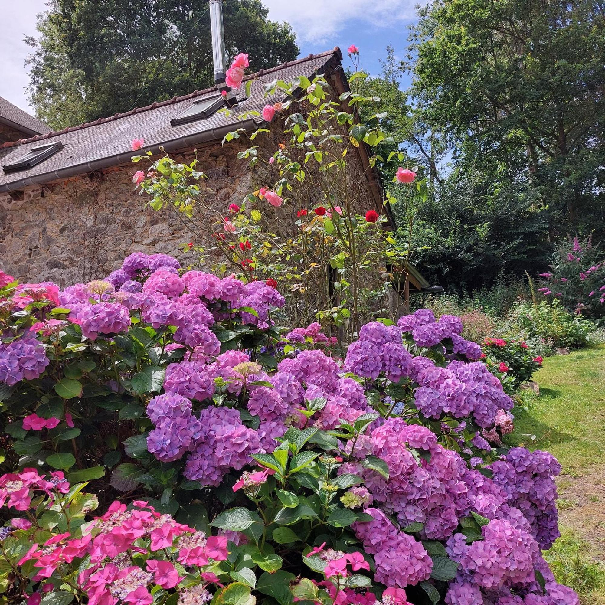 Bed and Breakfast Le Vieux Moulin Goudelin Номер фото